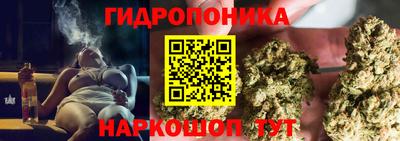 прущие грибы Тверь